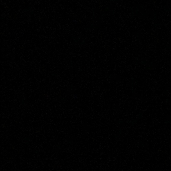 Meet your Posher, Lulu - Picture 1 of 1